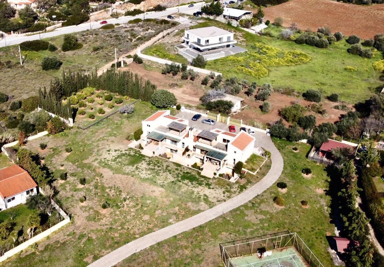 Legrena Beach Villa Sounion Ngoại thất bức ảnh