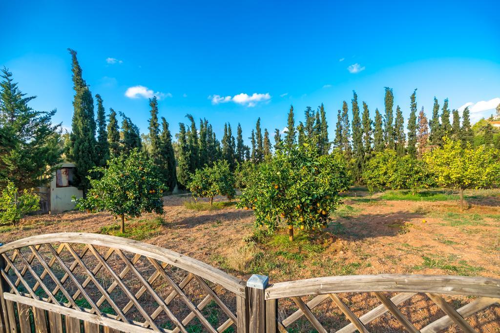 Legrena Beach Villa Sounion Ngoại thất bức ảnh