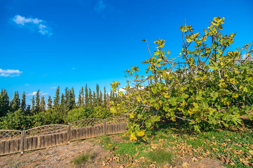 Legrena Beach Villa Sounion Ngoại thất bức ảnh