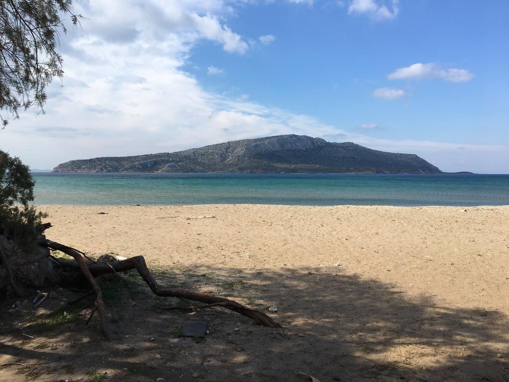 Legrena Beach Villa Sounion Ngoại thất bức ảnh